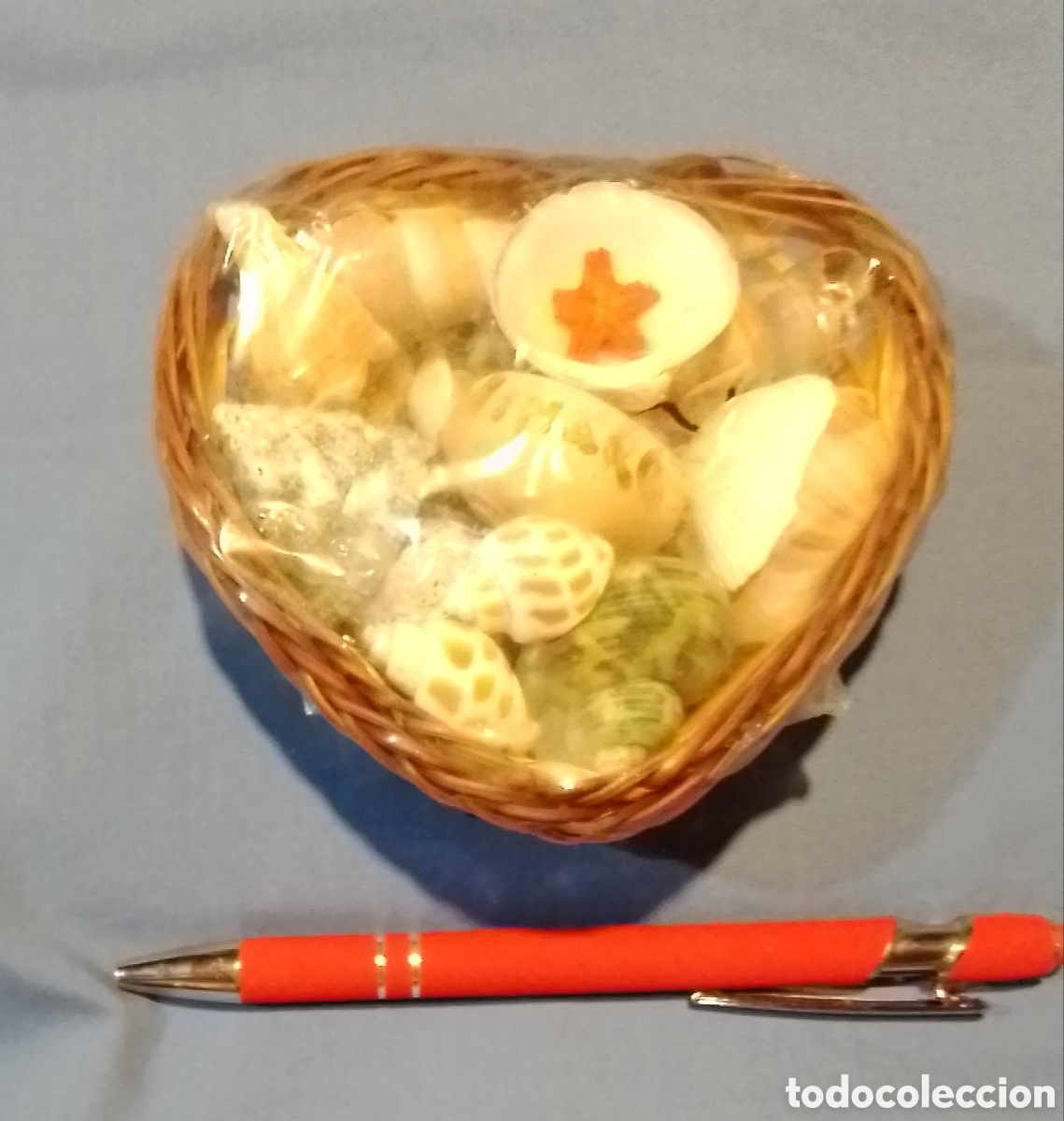 Coleccionismo de moluscos: Cesta con caracolas marinas - Foto 2