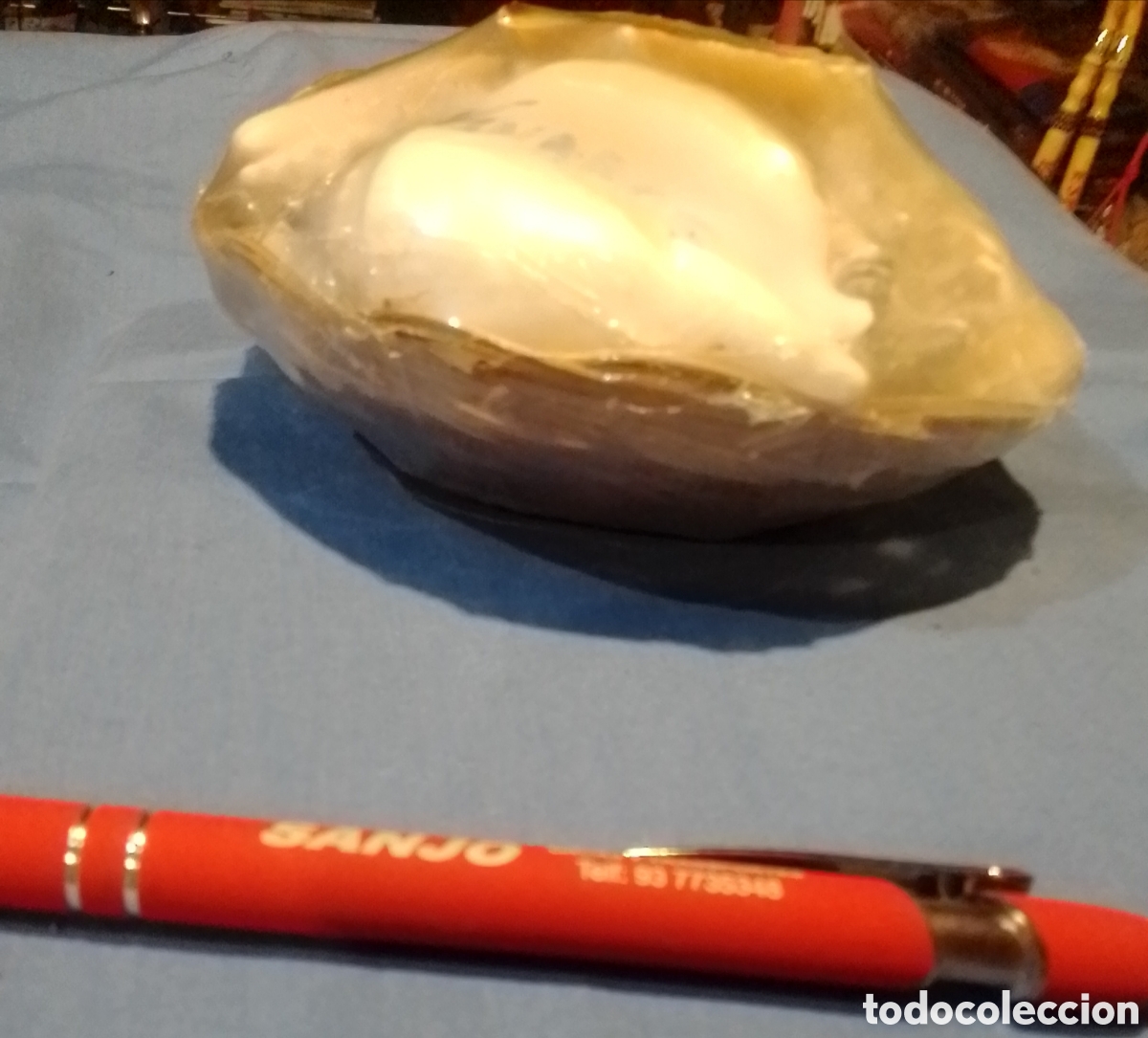 Coleccionismo de moluscos: Cesta con caracolas marinas - Foto 2