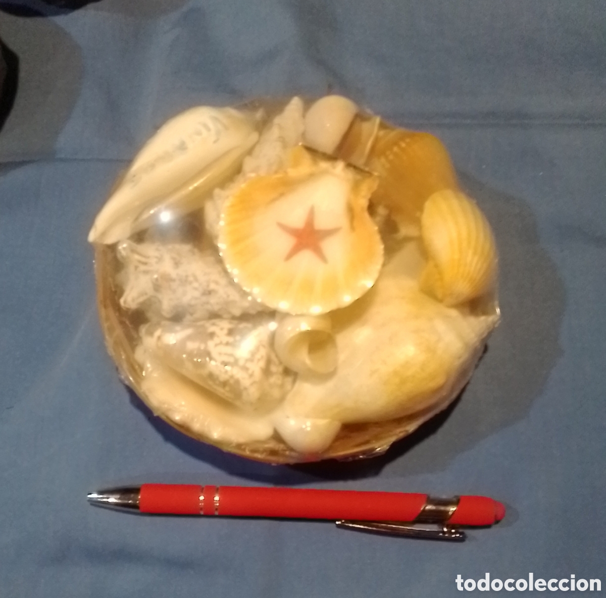 Coleccionismo de moluscos: Cesta con caracolas marinas