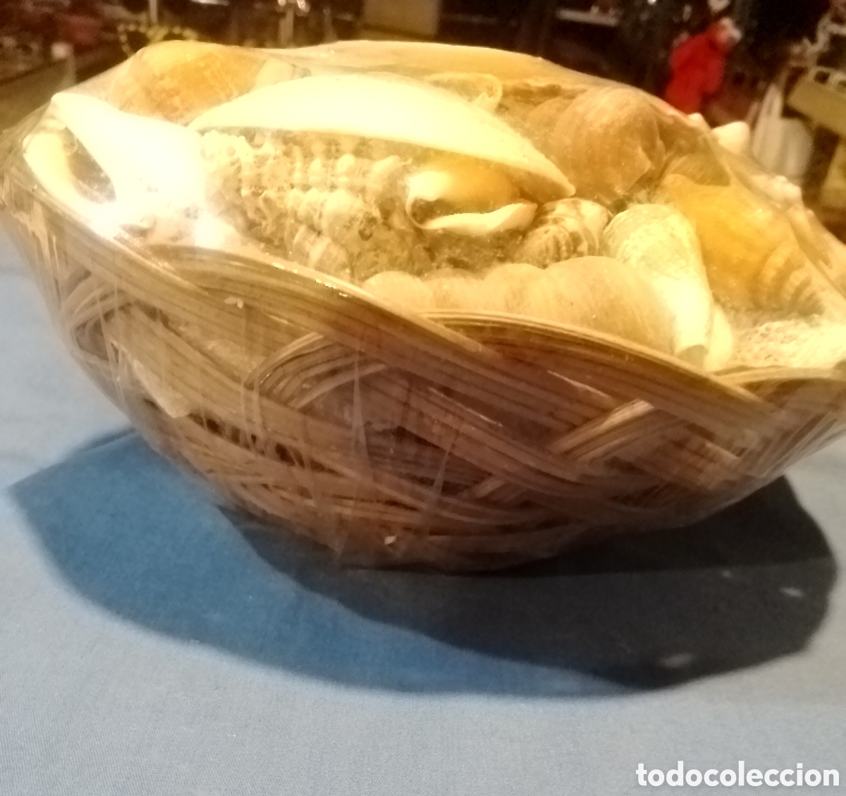 Coleccionismo de moluscos: Cesta con caracolas marinas - Foto 2