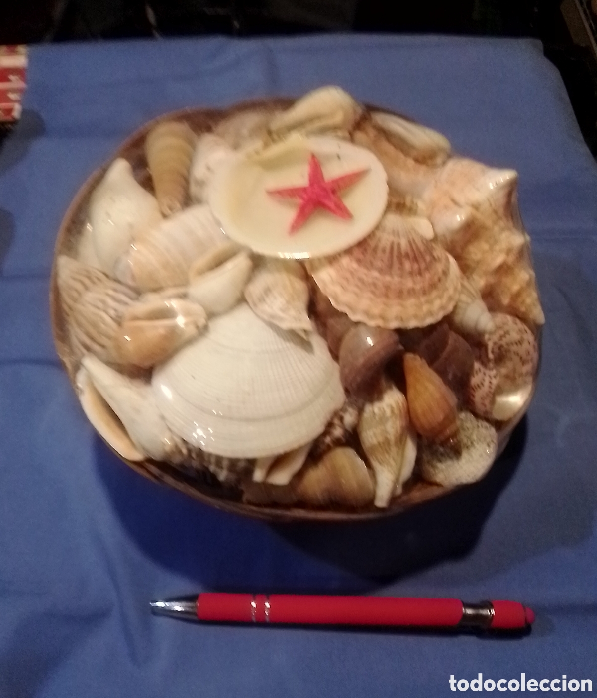 Coleccionismo de moluscos: Cesta con caracolas marinas