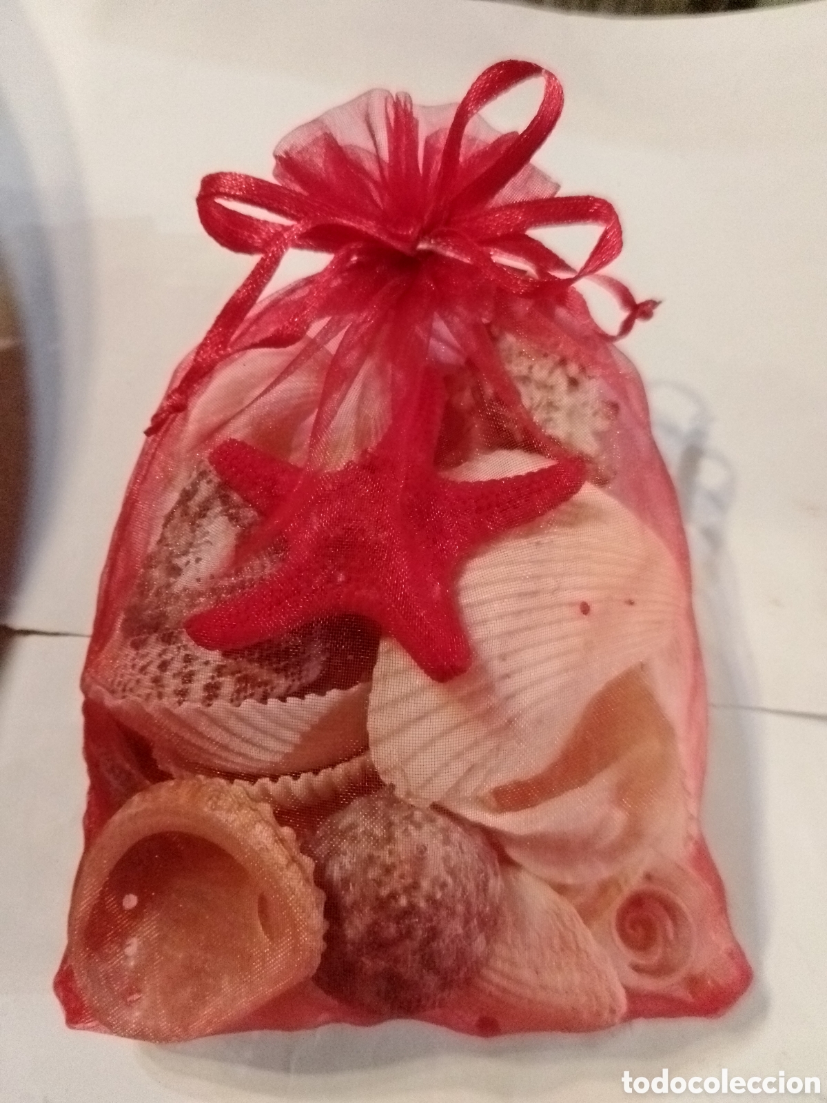 Coleccionismo de moluscos: Bolsa de caracolas marinas - Foto 3