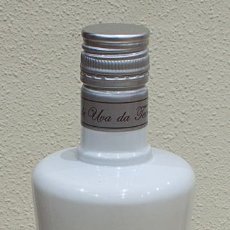 Coleccionismo Otros Botellas y Bebidas: BOTELLA VACIA VERMU ROJO ST. PETRONI 1 LITRO.. Lote 297475463