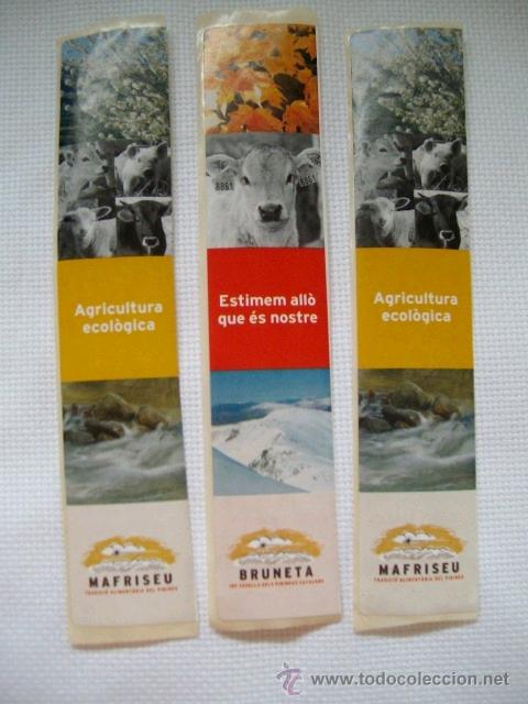 Pegatinas de colecci&oacute;n: 3 PEGATINAS * BRUNETA + MAFRISEU *