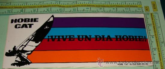 Pegatinas de colecci&oacute;n: PEGATINA DE SEPORTES. HOBIE CAT, TABLAS DE SURF, SURFING, SURFEROS. A&Ntilde;OS 80.