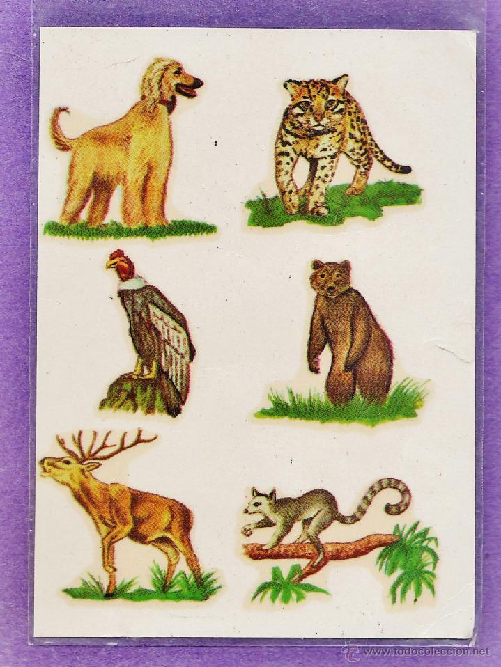 Pegatinas de colecci&oacute;n: calcomania / adhesivo - pegatina - animales - bolsa de 6 - fab. ortega - nuevas - a&ntilde;o 1964 -