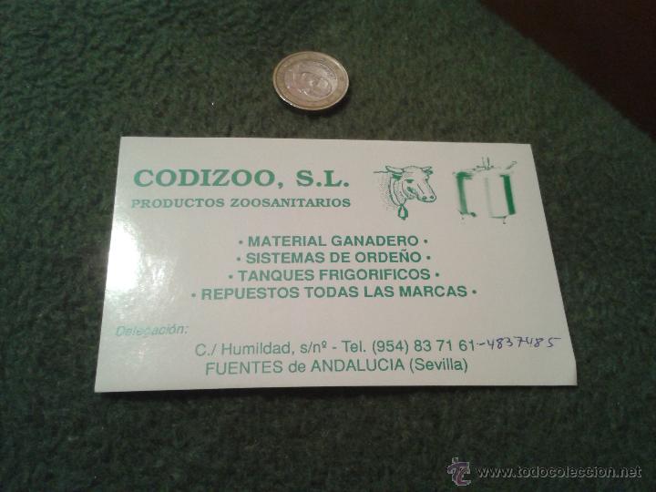 Sammlung von Aufklebern: ANTIGUA PEGATINA A&Ntilde;OS 80 PUBLICIDAD PUBLICITARIA CODIZOO FUENTES DE ANDALUCIA