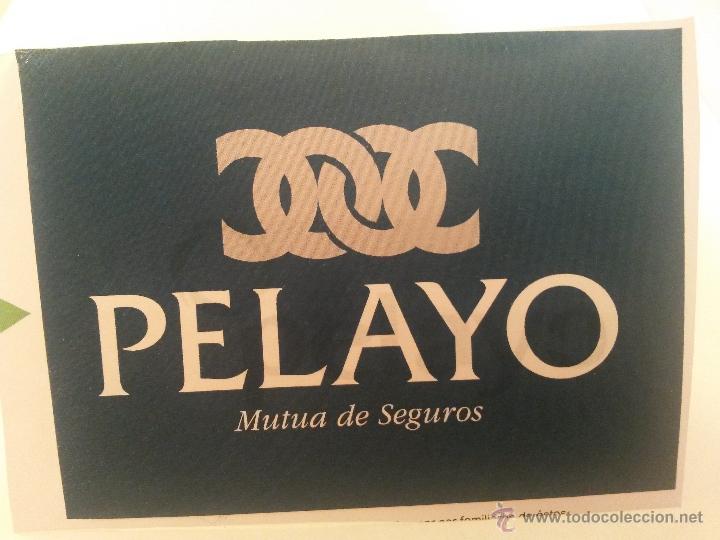 Pegatinas de colecci&oacute;n: pegatina pelayo - Foto 1