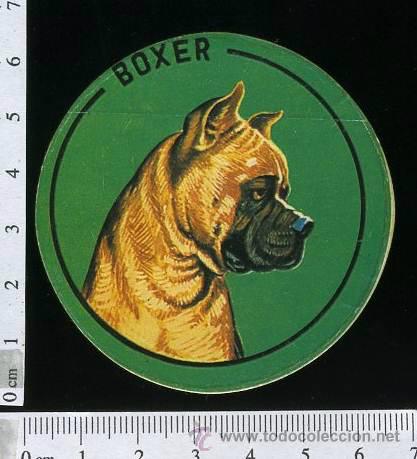 Collection stickers: ADHESIVO O PEGATINA BOXER  .- PERROS, SIN PEGAR