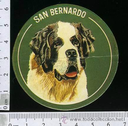 Collection stickers: ADHESIVO O PEGATINA   SAN BERNARDO .- PERROS, SIN PEGAR