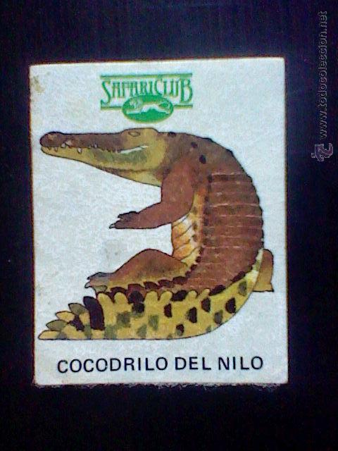 pegatina safari club cocodrilo del nilo 4 x 5 - Buy Antique and collectible  stickers on todocoleccion