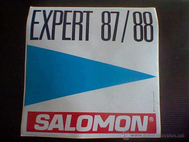 Pegatinas de colecci&oacute;n: pegatina EXPERT 87 88 SALOMON  20 x 20cms TIPO DORSAL ESQUI *C8