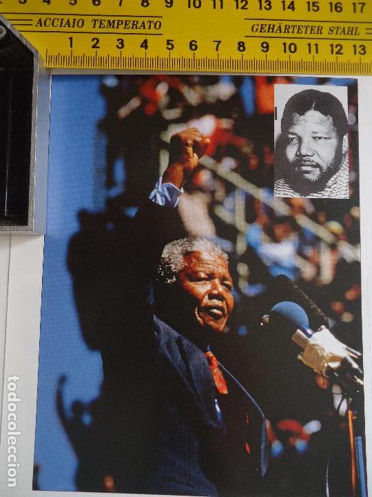 Sammlung von Aufklebern: PEGATINA ORIGINAL - nelson mandela