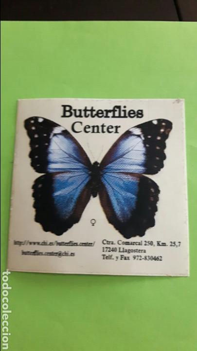 Pegatinas de colecci&oacute;n: PEGATINA ADHESIVO BUTTERFLIES CENTER