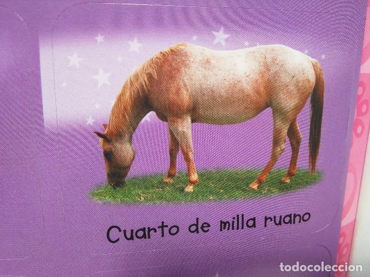 Collection stickers: pegatina caballos - caballo - ofertas por lotes de pegatinas de la misma coleccion ver mas