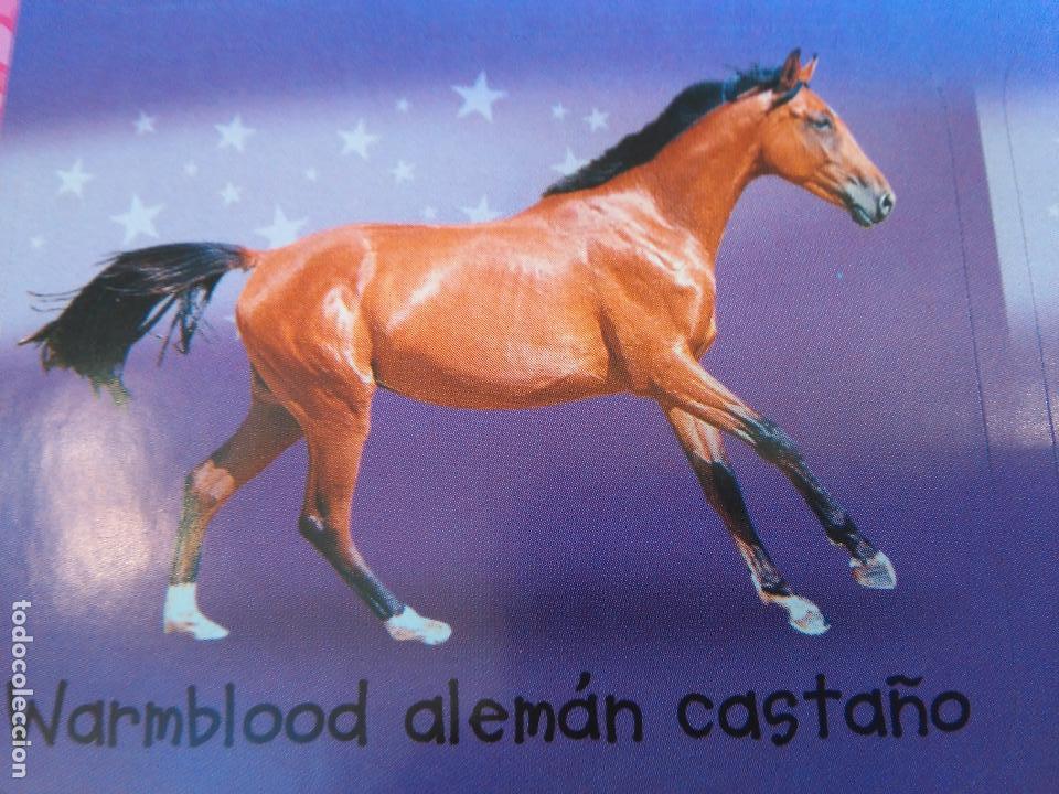 Collection stickers: pegatina caballos - caballo - ofertas por lotes de pegatinas de la misma coleccion ver mas