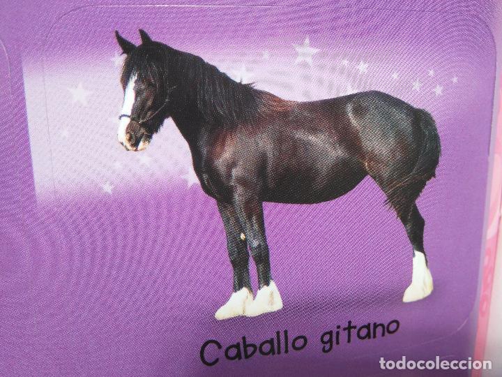 Sammlung von Aufklebern: pegatina caballos - caballo - ofertas por lotes de pegatinas de la misma coleccion ver mas
