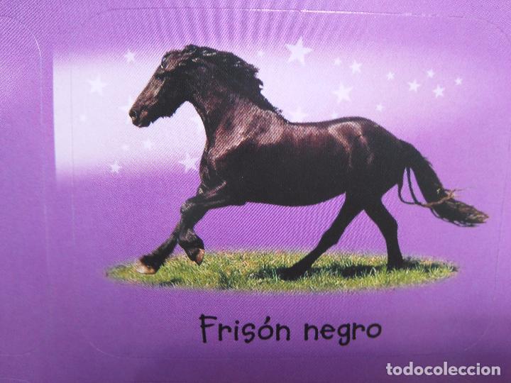 Collection stickers: pegatina caballos - caballo - ofertas por lotes de pegatinas de la misma coleccion ver mas