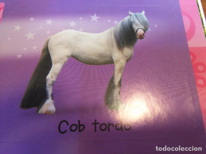 Sammlung von Aufklebern: pegatina caballos - caballo - ofertas por lotes de pegatinas de la misma coleccion ver mas