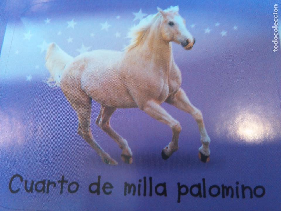 Autocollants de collection: pegatina caballos - caballo - ofertas por lotes de pegatinas de la misma coleccion ver mas