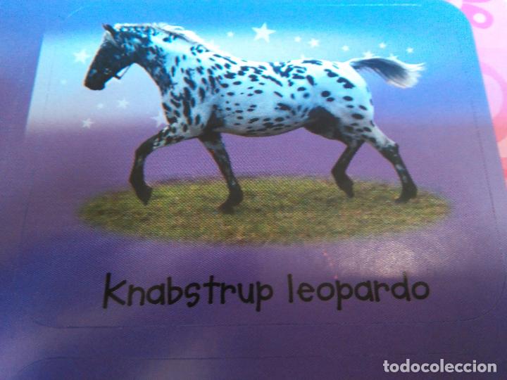 Autocollants de collection: pegatina caballos - caballo - ofertas por lotes de pegatinas de la misma coleccion ver mas
