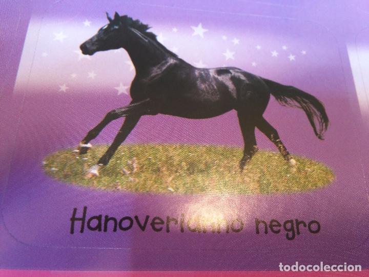 Sammlung von Aufklebern: pegatina caballos - caballo - ofertas por lotes de pegatinas de la misma coleccion ver mas