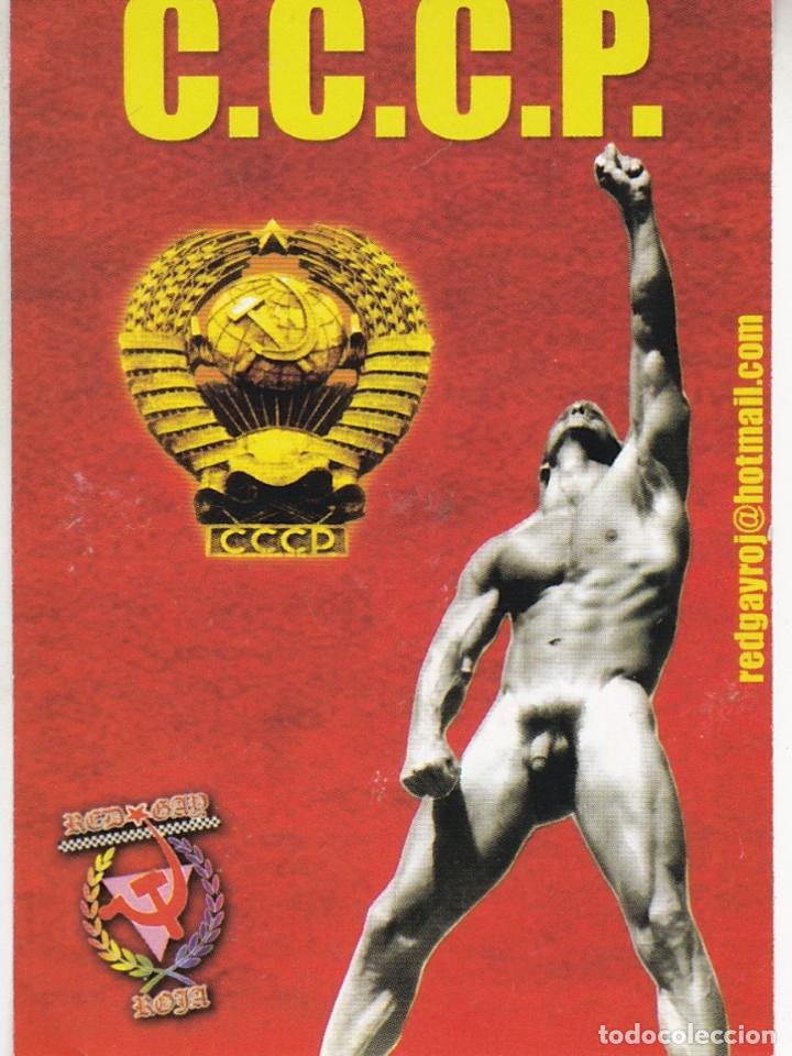Adesivi di collezione: Pegatina, pegatinas, adhesivo, adhesivos. RED GAY ROJA HACIA 2008