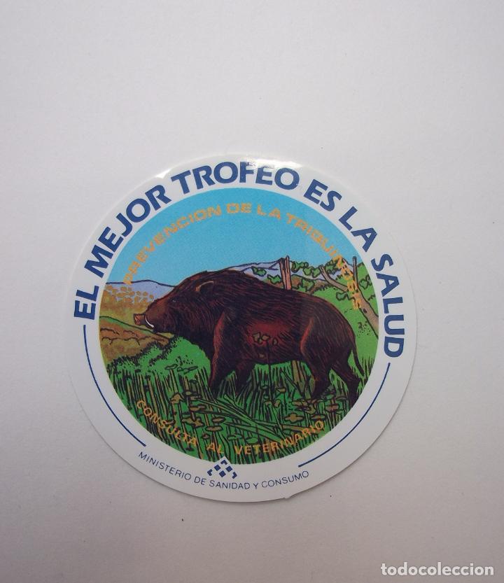 Pegatinas de colecci&oacute;n: PEGATINA ADHESIVO PREVENCION DE LA TRIQUINOSIS. MINISTERIO DE SANIDAD Y CONSUMO. TDKP12