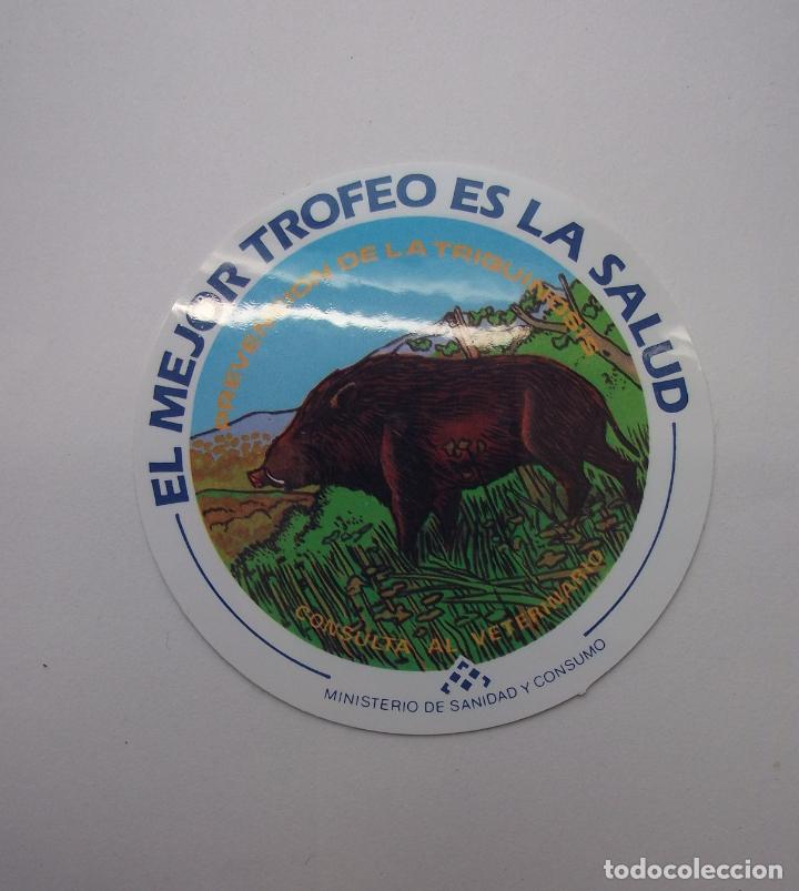 Autocolantes de cole&ccedil;&atilde;o: PEGATINA ADHESIVO PREVENCION DE LA TRIQUINOSIS. MINISTERIO DE SANIDAD Y CONSUMO. TDKP12