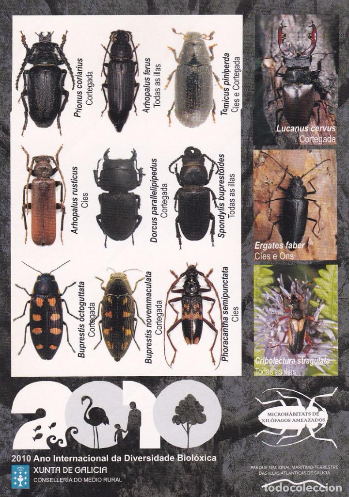 Sammlung von Aufklebern: PEGATINA 2010 ANO INTERNACIONAL DA DIVERSIDADE BIOLOXICA. XUNTA DE GALICIA