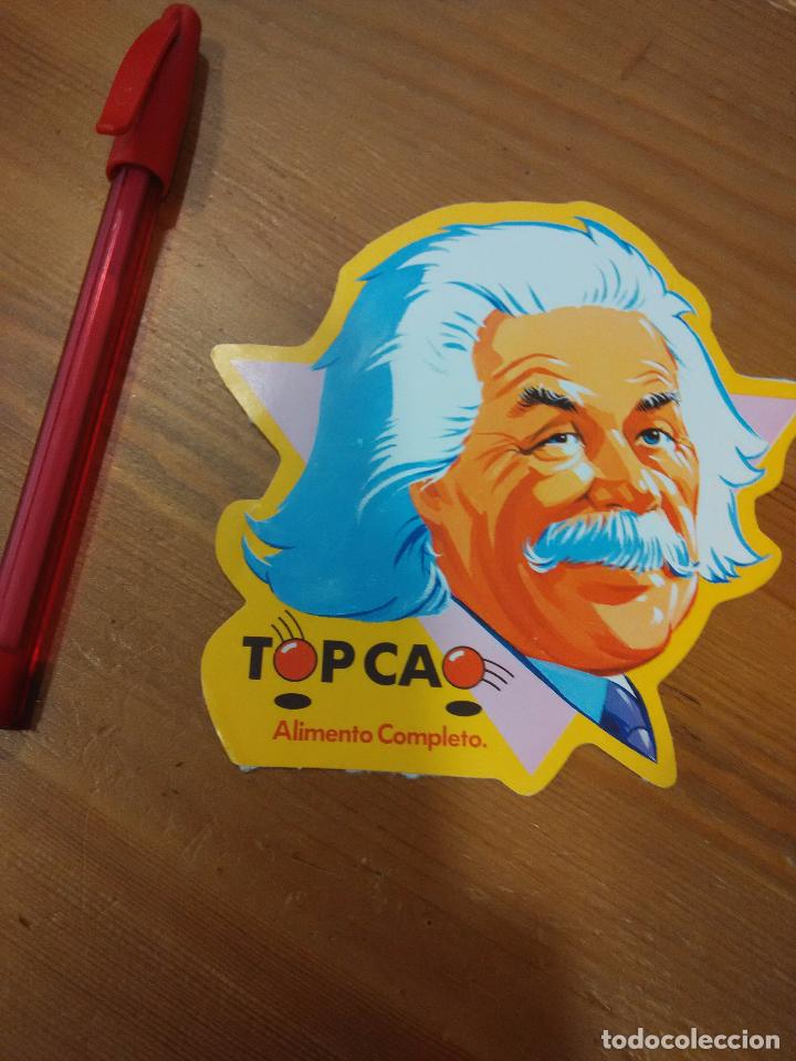 Pegatinas de colecci&oacute;n: PEGATINA ADHESIVO TOP CAO EINSTEIN
