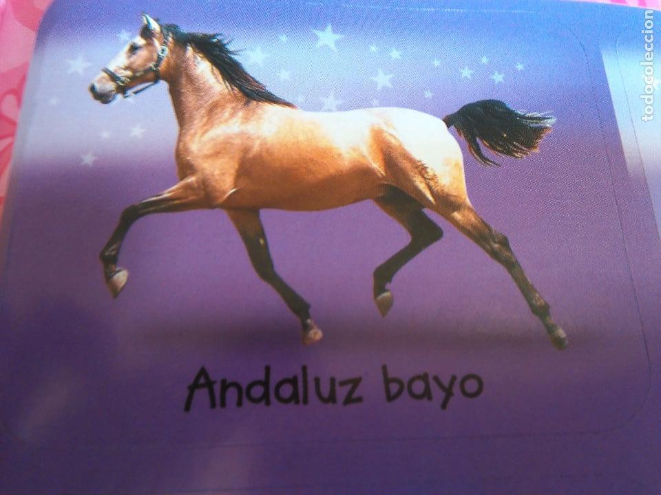 Sammlung von Aufklebern: pegatina caballos - caballo - ofertas por lotes de pegatinas de la misma coleccion ver mas