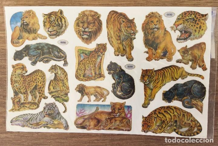 stickers - leones y tigres - mi colección de pe - Compra venta en  todocoleccion