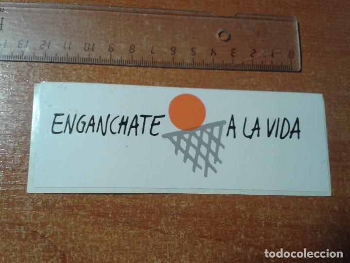 Pegatinas de colecci&oacute;n: PEGATINA. ADHESIVO. SIN PEGAR. A&Ntilde;OS 80.