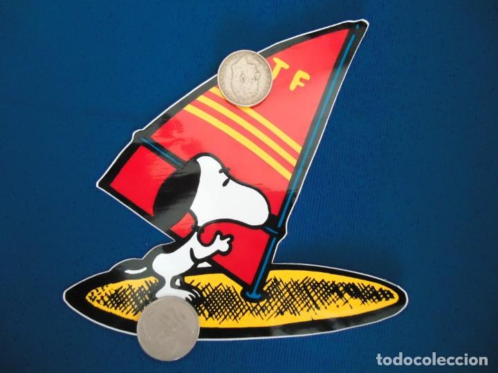 Pegatinas de colecci&oacute;n: pegatina snoopy rabanitos peanuts perro beagle comic dibujos tbo deporte vela mar windsurf ola