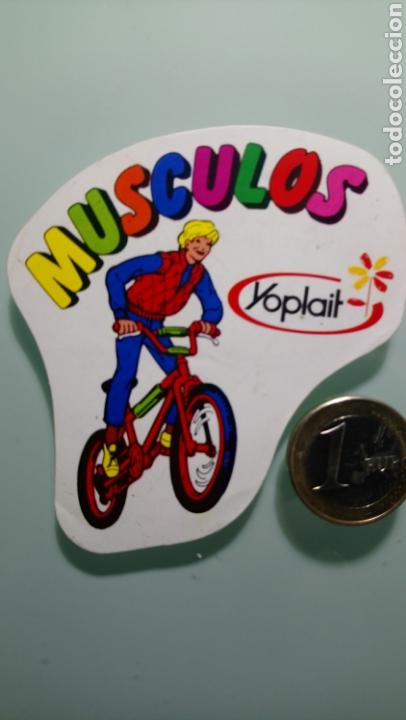 Pegatinas de colecci&oacute;n: Pegatina Yoplait - Foto 1
