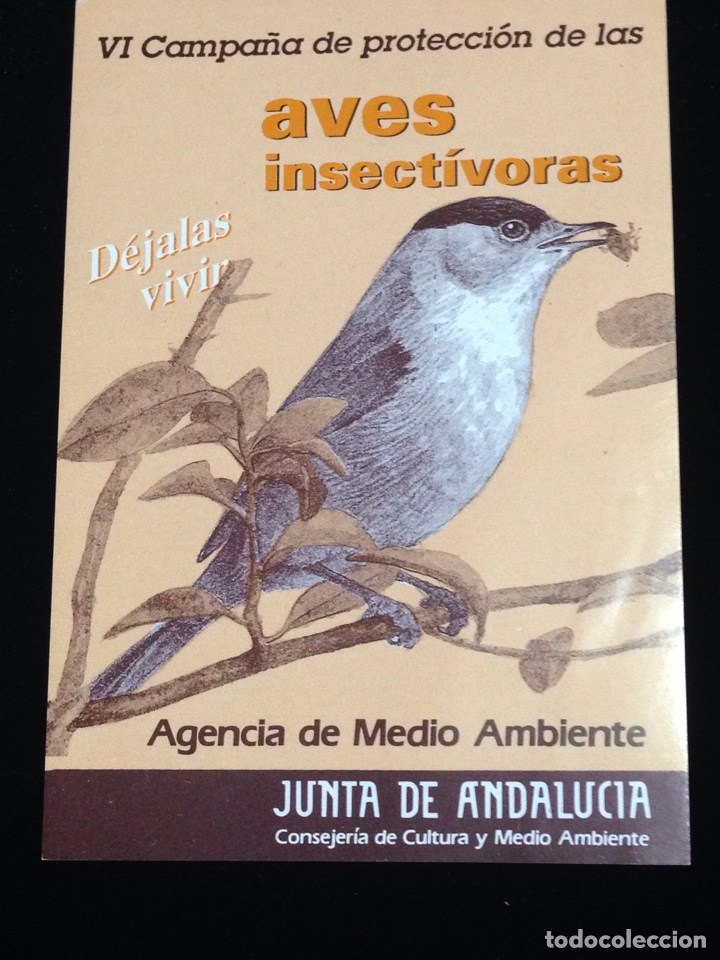 Collection stickers: VI campa&ntilde;a de proteccion de las aves insectivoras. R4