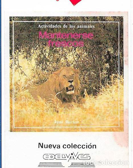 Pegatinas de colecci&oacute;n: EDELVIVES, A&Ntilde;OS 90