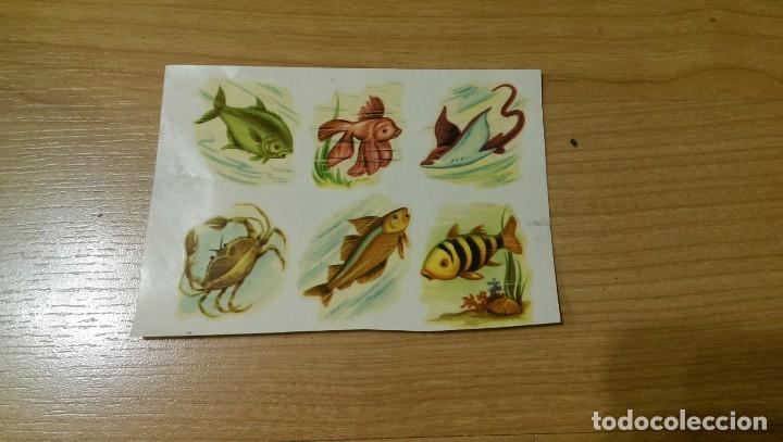 Sammlung von Aufklebern: ANTIGUO LOTE 6 CALCOMAN&Iacute;AS PECES