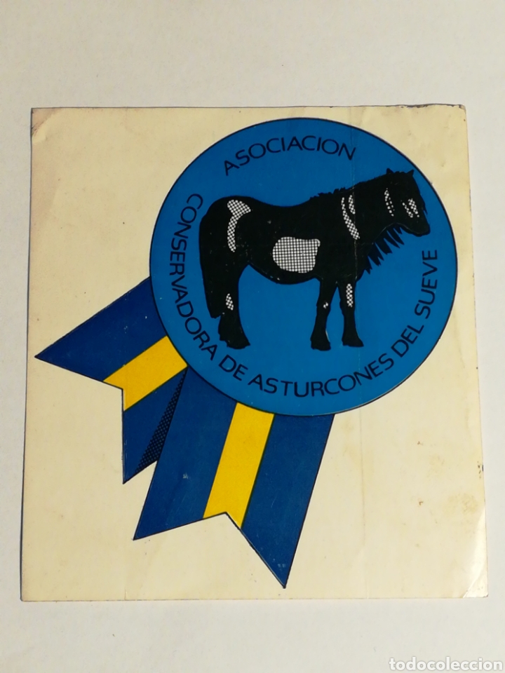 Adesivi di collezione: Pegatina Asociaci&oacute;n Conservadora de Asturcones del Sueve. Tama&ntilde;o 98x106mm