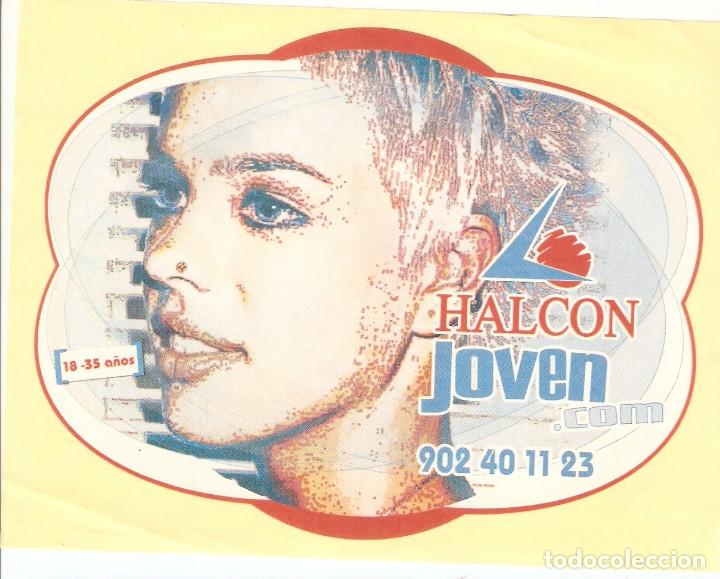 Pegatinas de colecci&oacute;n: PEGATINA HALCON JOVEN - Foto 1