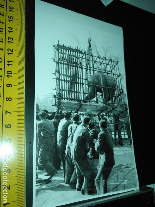 Sammlung von Aufklebern: PEGATINA CROMO ADHESIVO REF: 268 circo el elefante perico llega al zoo de madrid