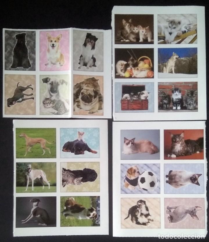 Pegatinas de colecci&oacute;n: 24 PEGATINAS DE PERROS - Foto 1