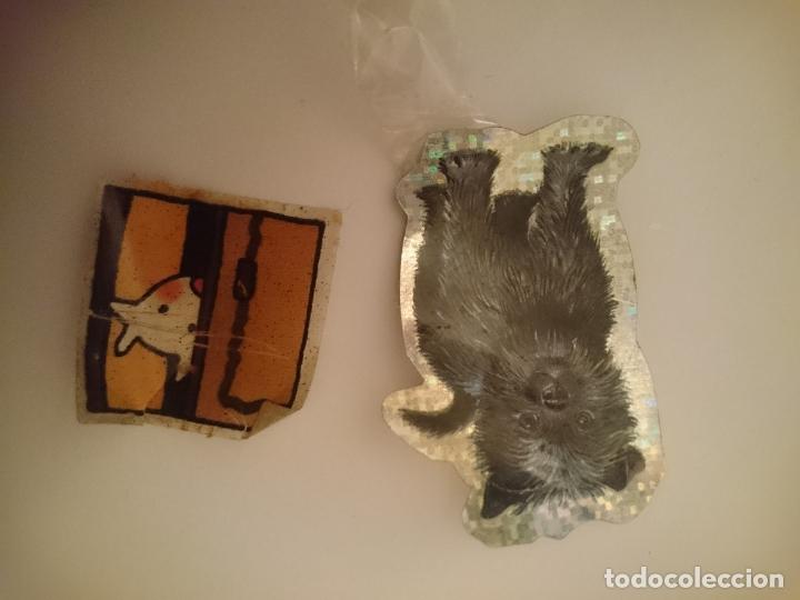 Pegatinas de colecci&oacute;n: PEGATIVAS PERRO Y CABRA - Foto 1