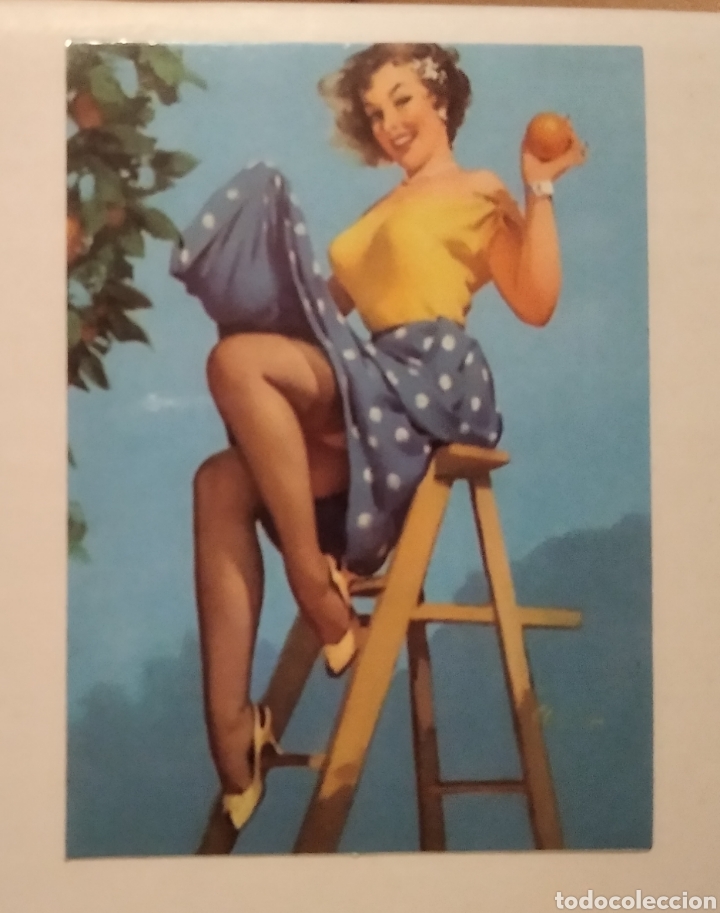 Pegatinas de colecci&oacute;n: Pegatina chica pin Up recogiendo naranjas 5,5 X 7,5 cm
