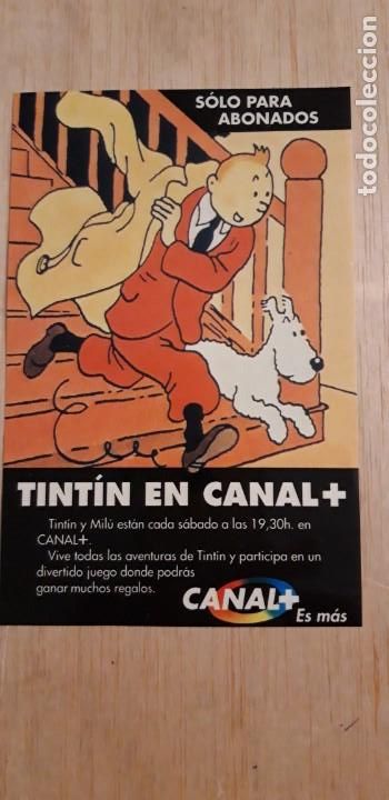 Pegatinas de colecci&oacute;n: 1 PEGATINA DE ** TINT&Iacute;N EN CAMAL+ ** 14 X 9 CMS.