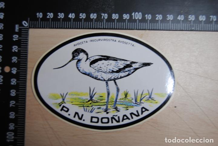 Pegatinas de colecci&oacute;n: PEGATINA PARQUE NACIONAL DE DO&Ntilde;ANA AVOCETA