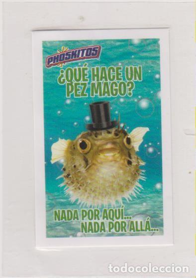 Pegatinas de colecci&oacute;n: PEGATINA PHOSKITOS ADIVINANZA SIN ABRIR PRECINTADO
