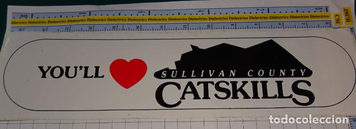 Adesivi di collezione: PEGATINA DE TURISMO. CATSKILLS SULLIVAN COUNTY ESTADOS UNIDOS