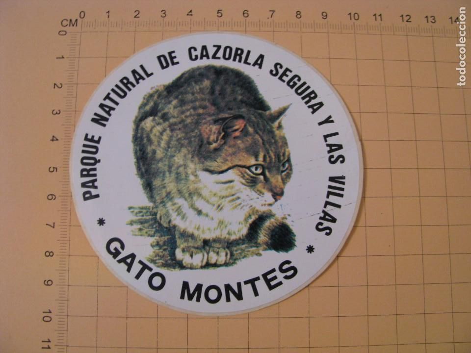 Pegatinas de colecci&oacute;n: PEGATINA PARQUE NATURAL DE CAZORLA. GATO MONTES.